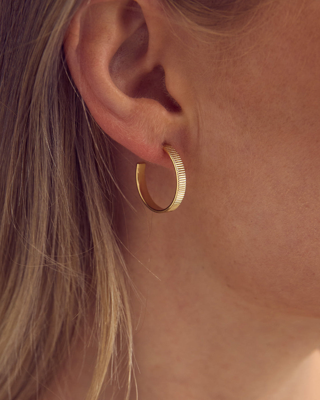 Vega Stud Earrings - 18 carat gold plated